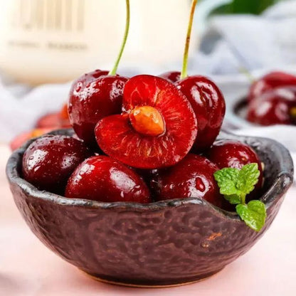 Rainier Cherry Fruit Seeds | 🍒Flat 50% Savings🍒 ( Buy 1 Get 1 Free )